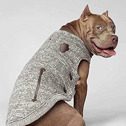 pitbull sweaters for dogs.